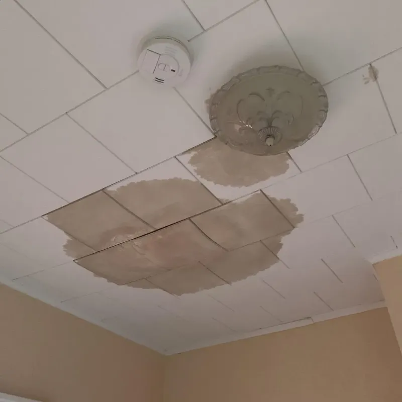 Ceiling Water Damage Repair in Glendale, OH