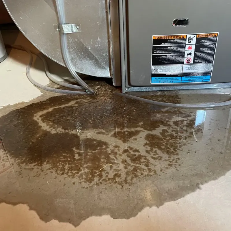 Pipe Burst and Leak Restoration in Glendale, OH