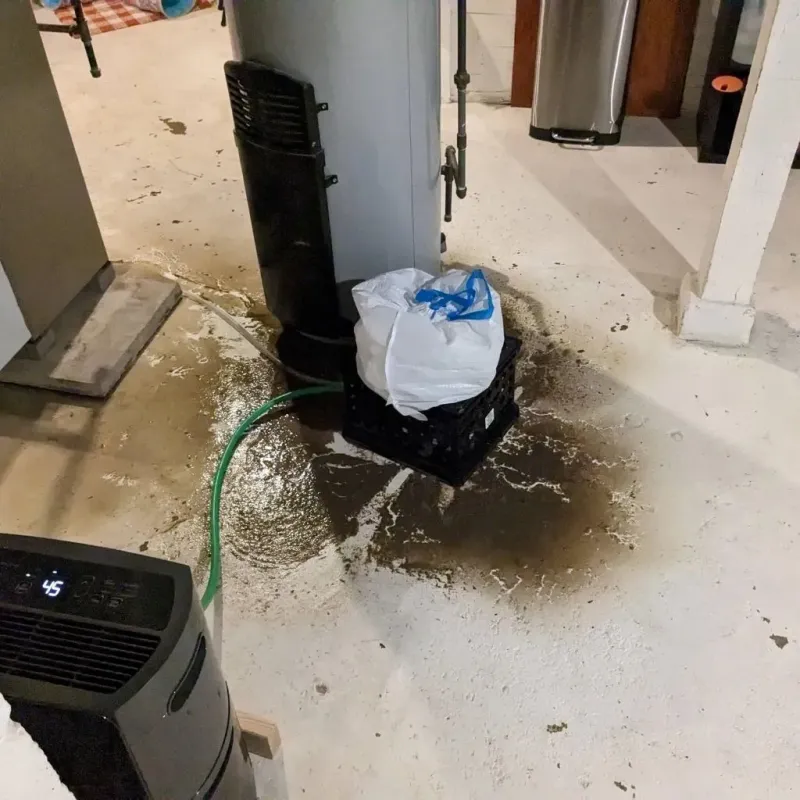 Sewage Backup Cleanup Service in Glendale, OH